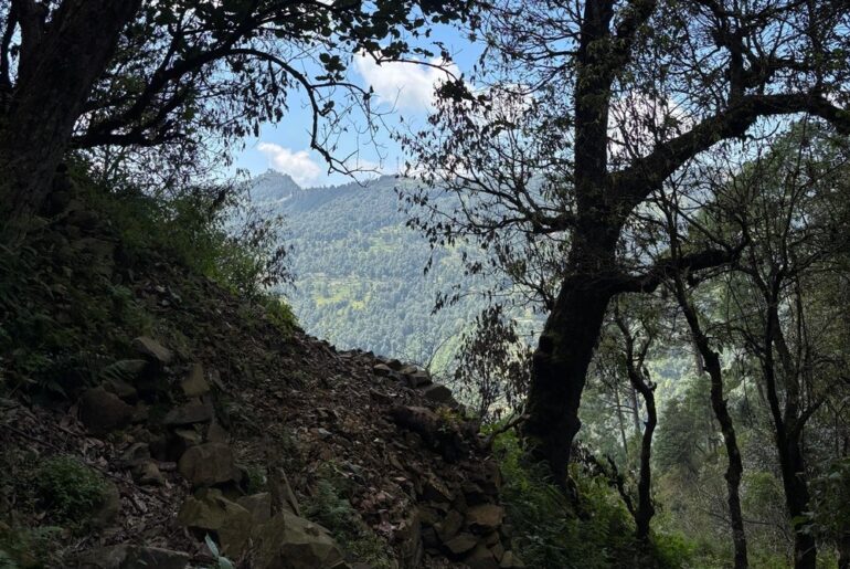 On the Way to Cave of Mahavatar Babaji