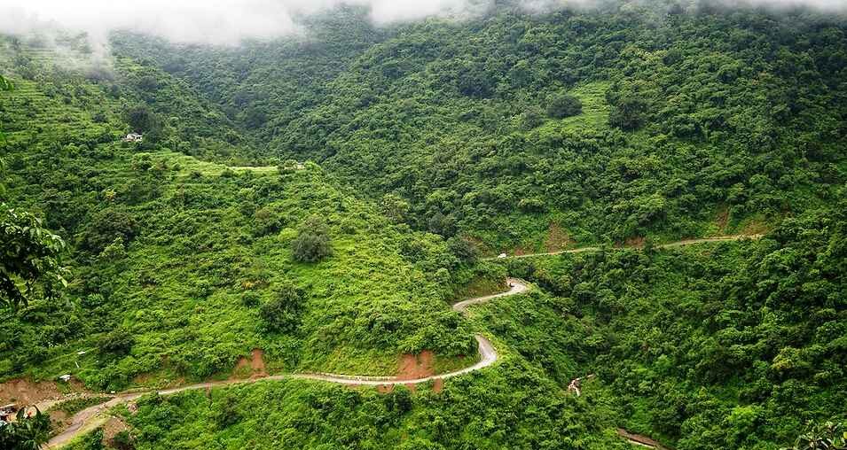 A Curvy & Twisted Road to Neelkanth Temple from Rishikesh