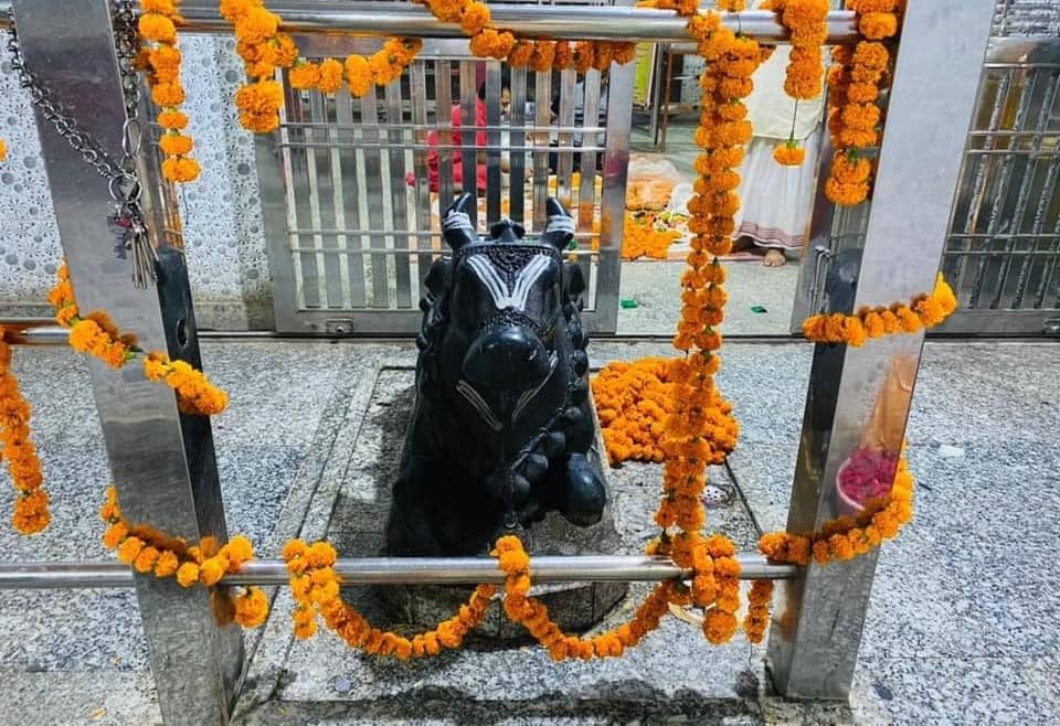 Nandi at Neelkanth Mahadev