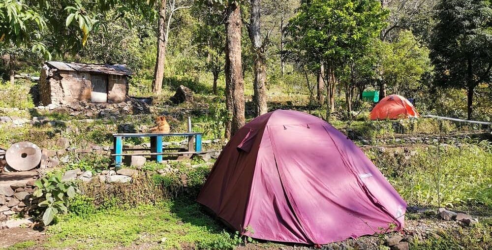 Jungle Camping in Rishikesh