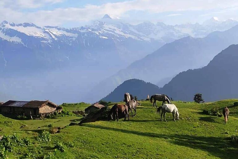 Panwali Kantha Bugyal Uttarakhand