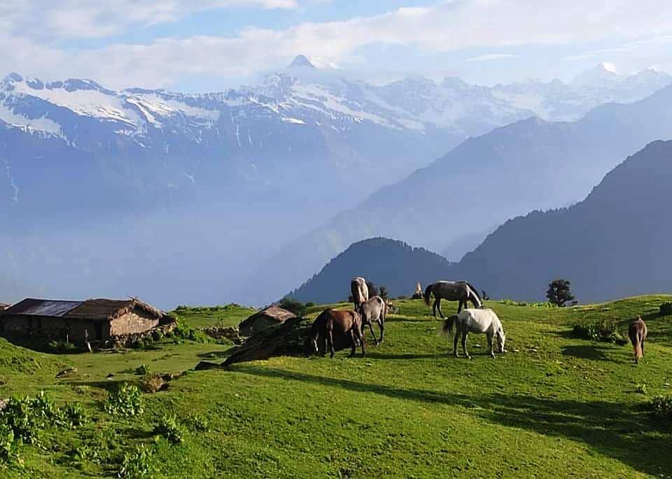 Panwali Kantha Bugyal Uttarakhand