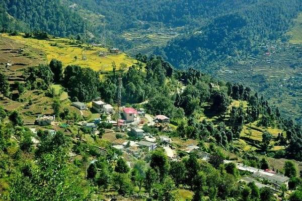 Sari Village Ukhimath