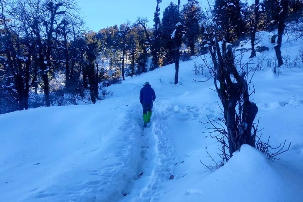 2 Days Trek from Rishikesh of Nag Tibba