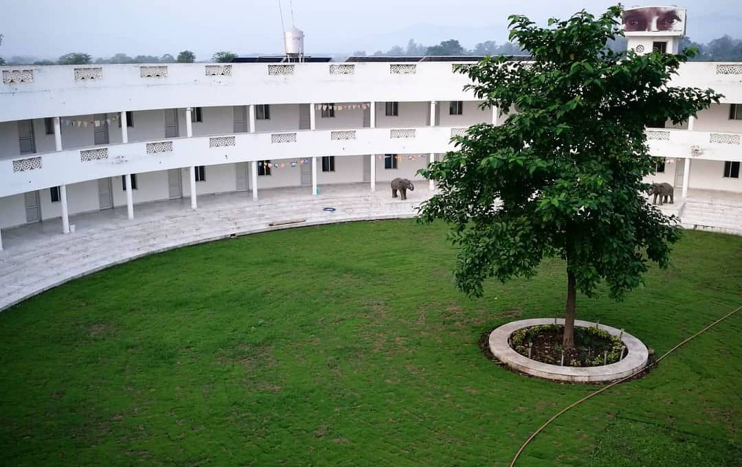 Aurovalley Ashram Rishikesh