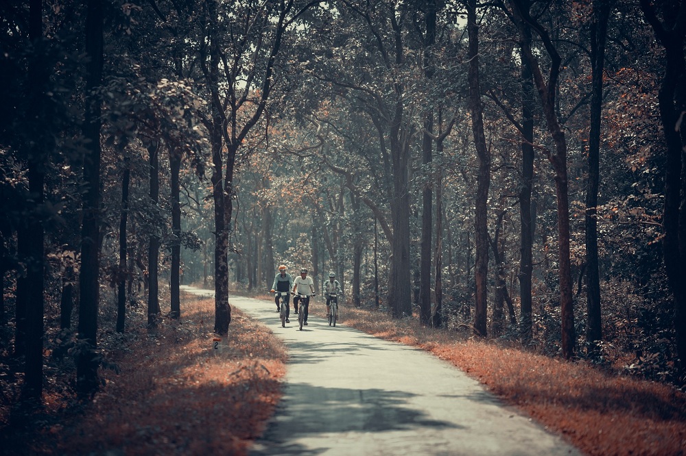 Cycling Safari in the Rajaji National Park