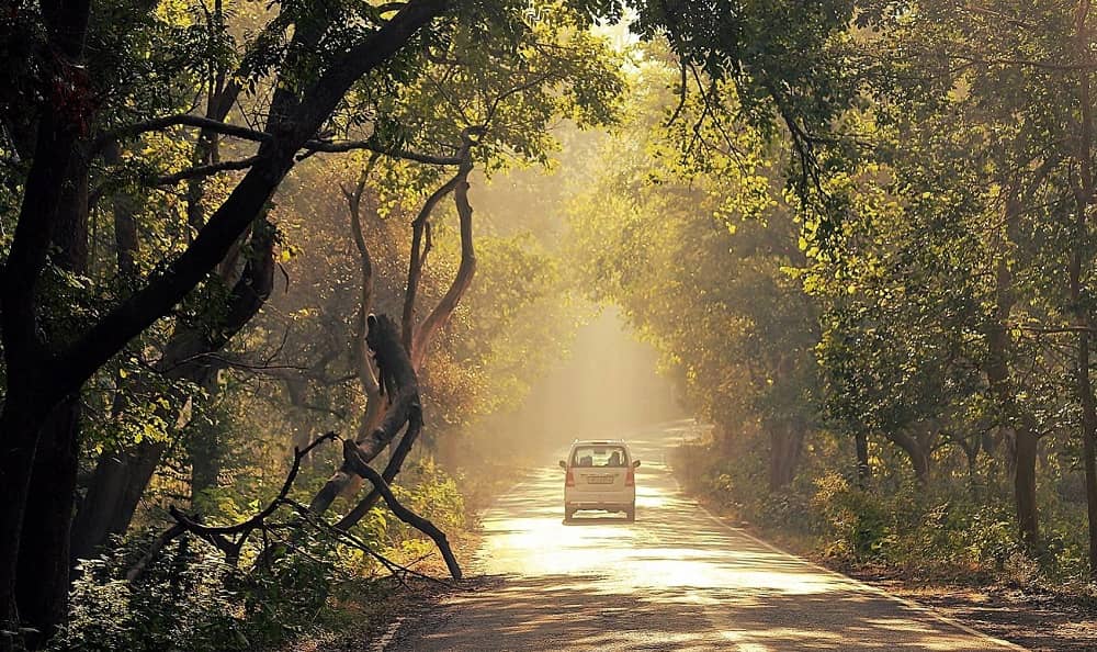 Drive into Nature- Chilla Road