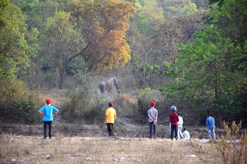 Chilla Range Haridwar