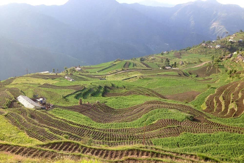 Agri Tourism Dhanaulti