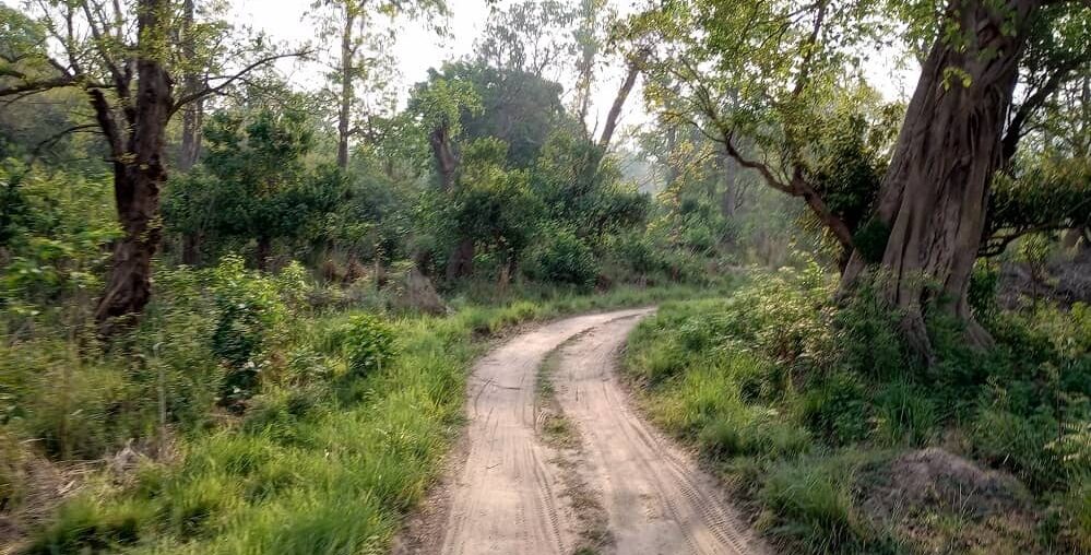 Rishikesh to Rajaji National Park