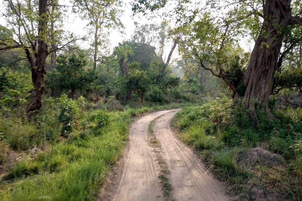 Rishikesh to Rajaji National Park