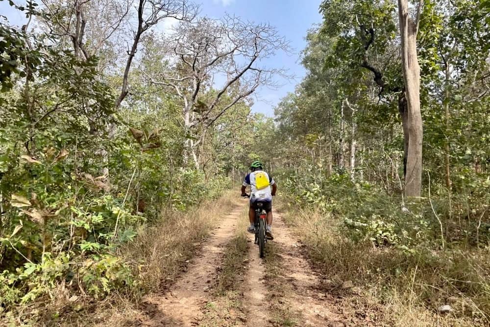 Cycling Safari at Pench Tiger Reserve, India