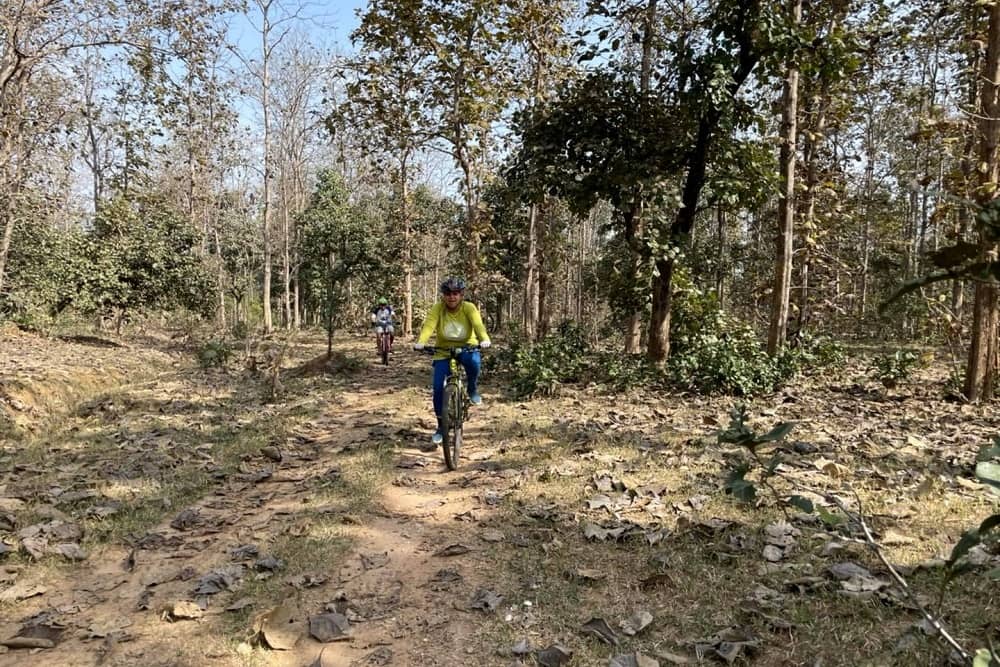 Cycling Safari at Pench Tiger Reserve