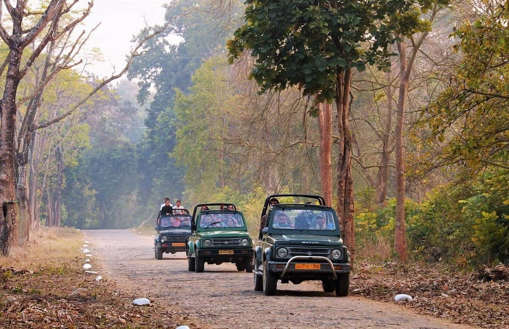 Rajaji Jeep Safari