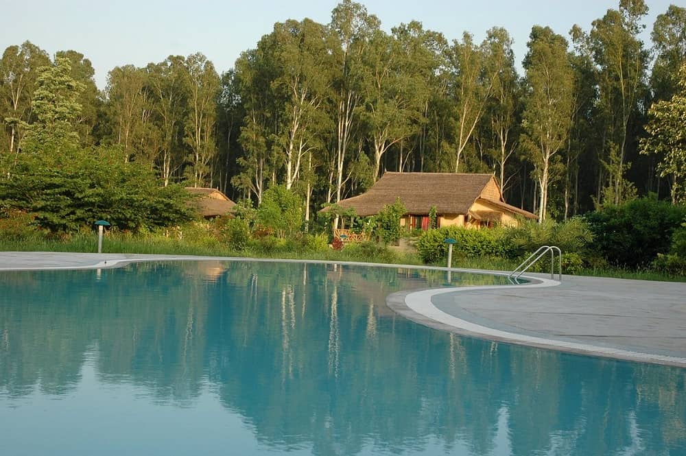 Jim's Jungle Retreat: Retreat Resorts in Jim Corbett 