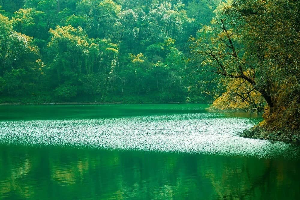 Sattal Lake Bhimtal