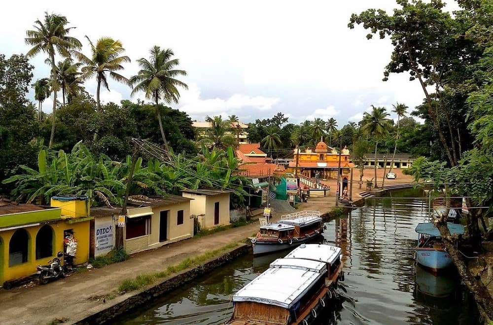 Cochin Backwater Trip to the Western Ghats