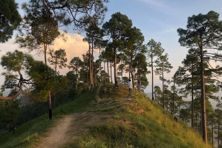 Crank's Ridge in Almora India
