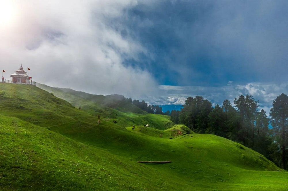 Molia Top Chakrata Dehradun Uttarakhand