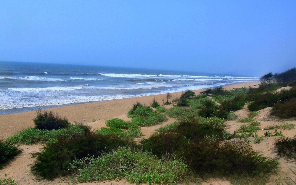 Baliharachandi Beach