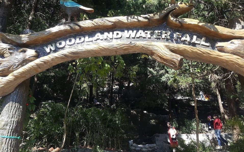 Woodland Waterfall