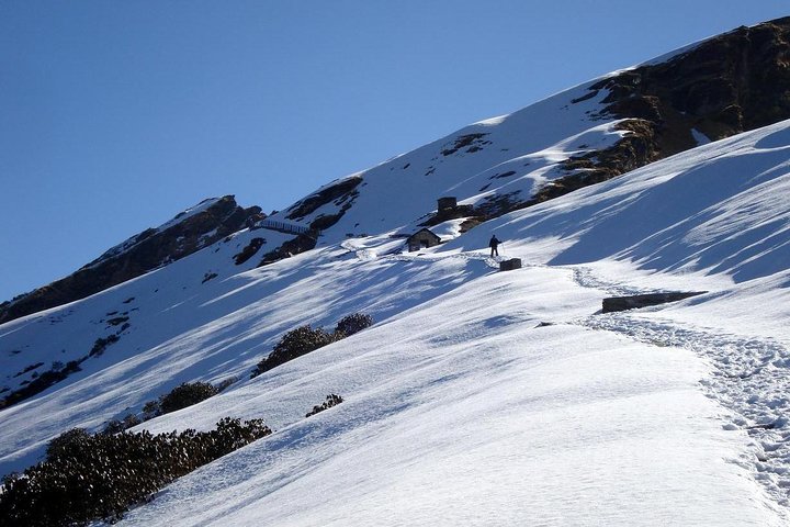 Chopta Tunganath During Winter