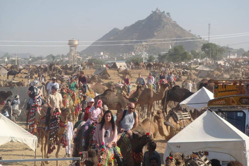 Pushkar Camel Fare