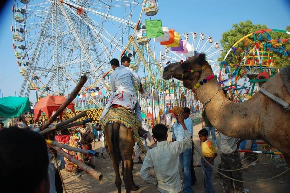 Pushkar Camel Festival