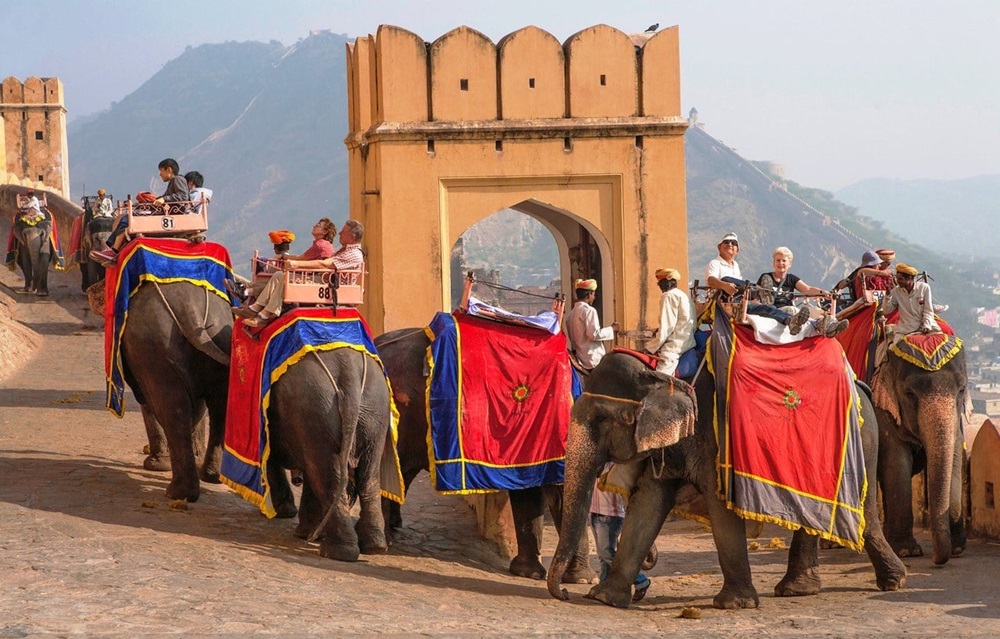 amber fort elephant ride