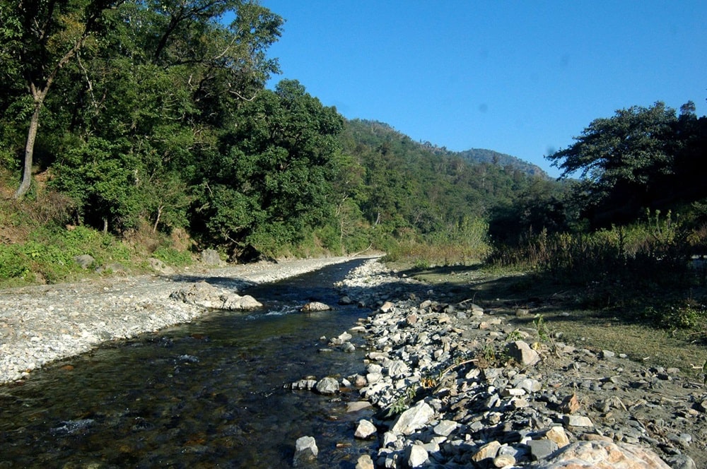 Rajaji National Park