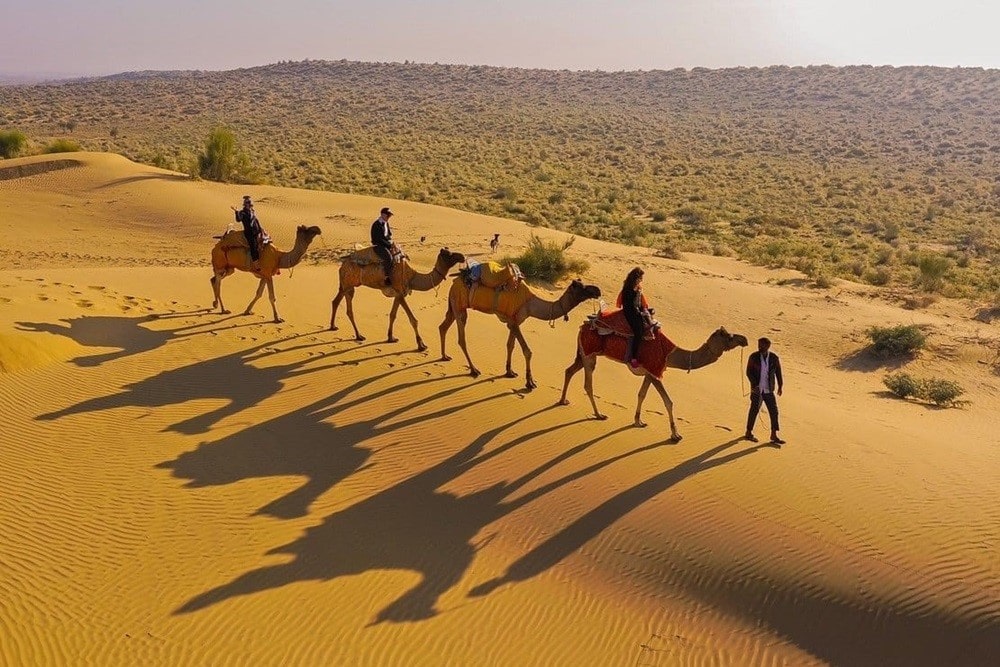 Thar Desert and Camel Safari