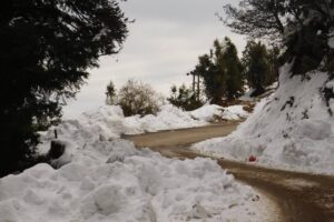 Discover Kanatal Dhanaulti During Snowfall Time In Uttarakhand