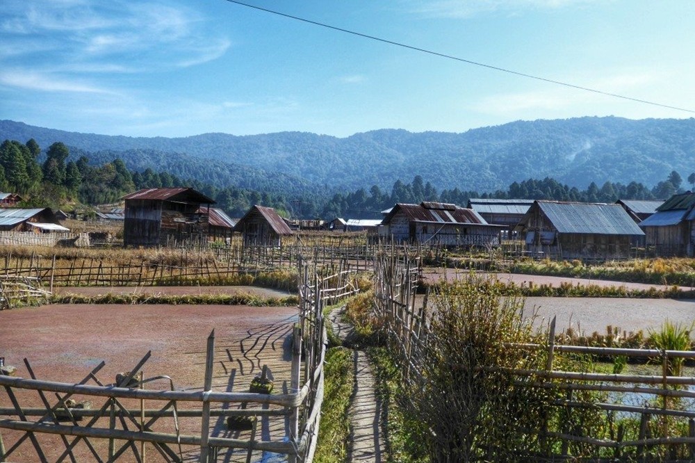 Ziro Valley Arunachal Pradesh