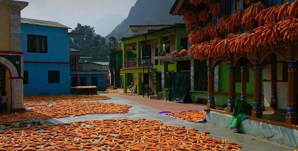 Sainji village uttarakhand