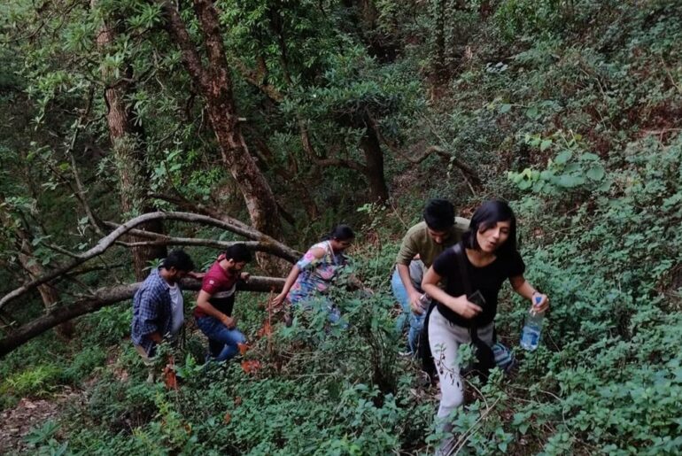 Binsar Valley Uttarakhand India