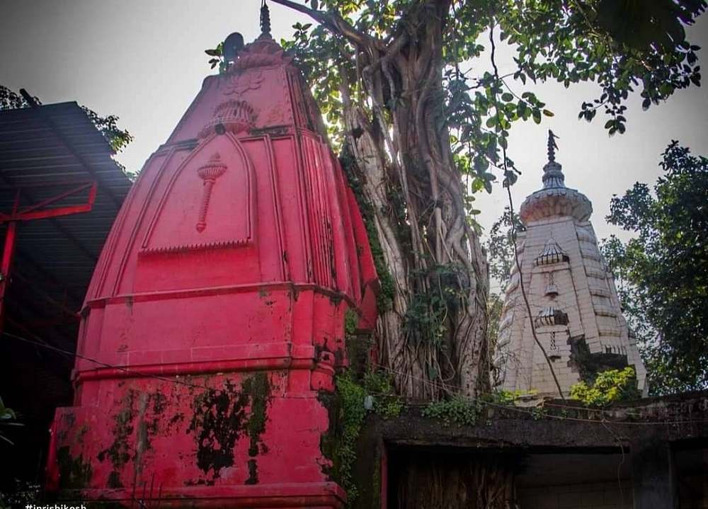 Someshwar Mahadev Temple, Rishikesh