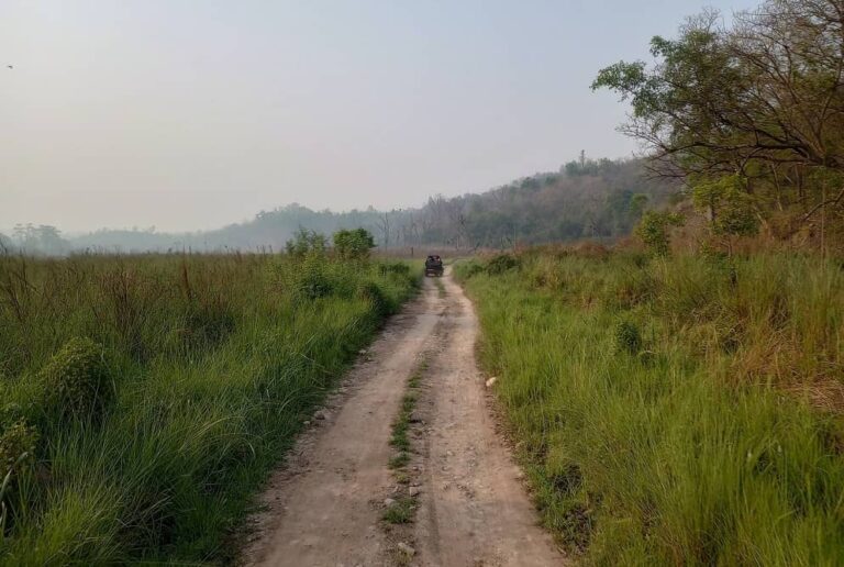 National Parks in Dehradun