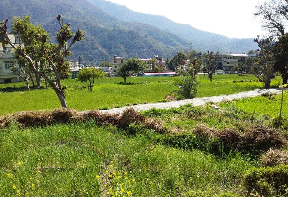 The Garden View Om Homestay Rishikesh