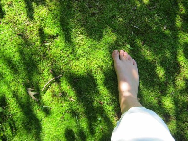 Benefits of Walking Barefooted