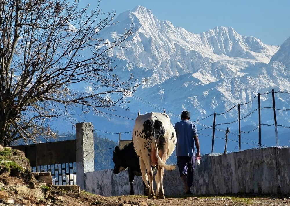 Chaukori -A Date With The Himalayas of Uttarakhand