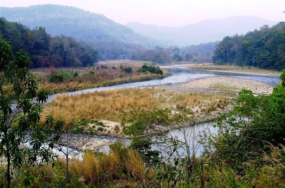 River Koshi Corbett National Park Uttarakhand