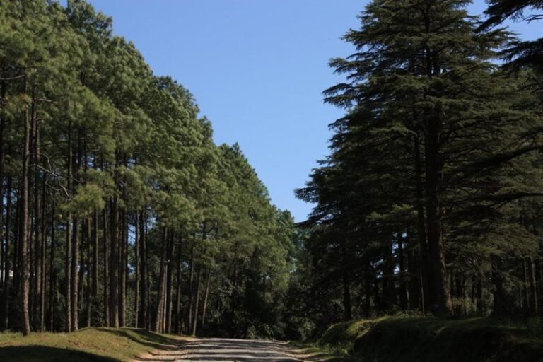 Offbeat Places In Uttarakhand