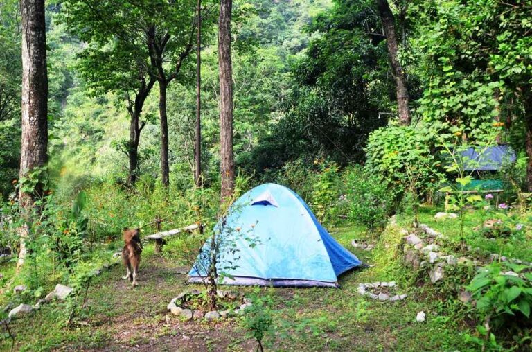 Campsite in Rishikesh
