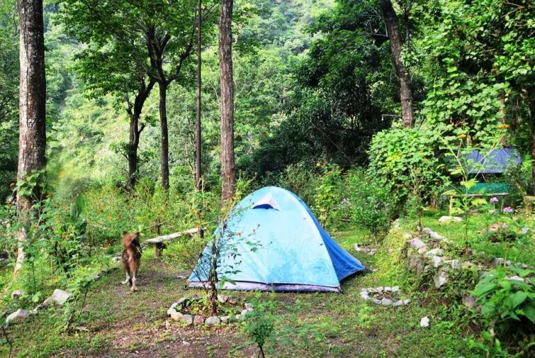 Campsite in Rishikesh