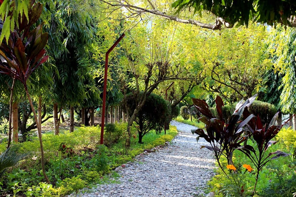 Garden Anand Lok Ashram, Sirasu Village Rishikesh