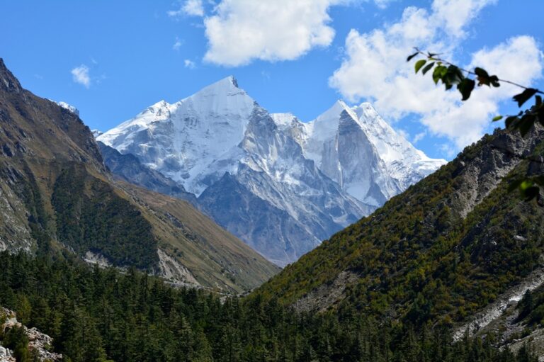 Gangotri National Park Uttarakhand