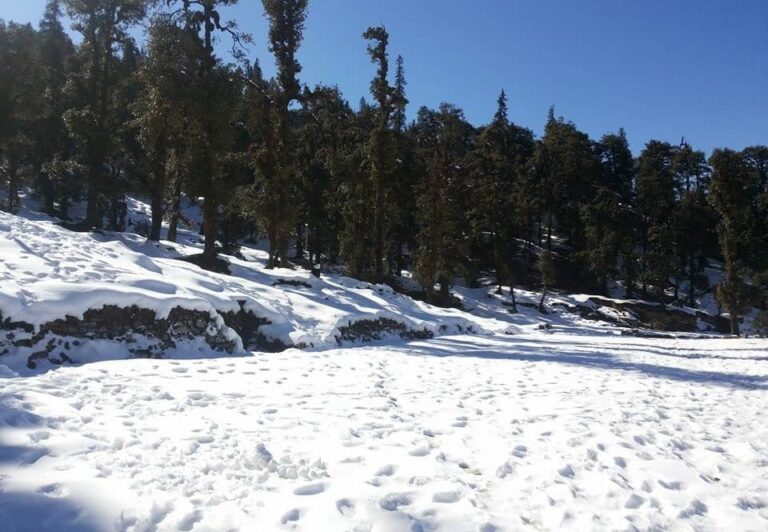 Snowfall in Rishikesh