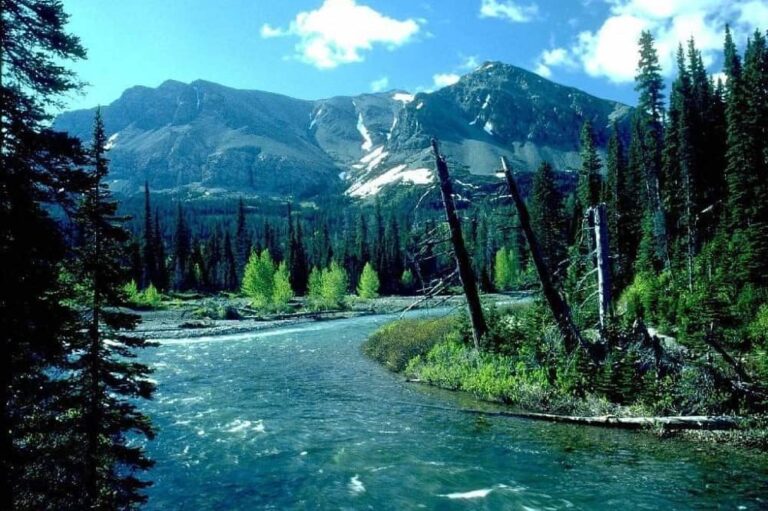 Rishikesh to Gangotri distance,