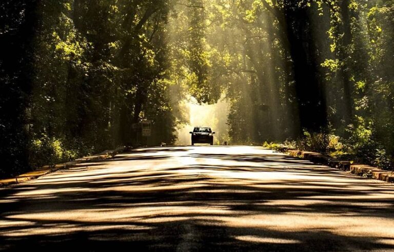 Jolly Grant Airport to Rishikesh