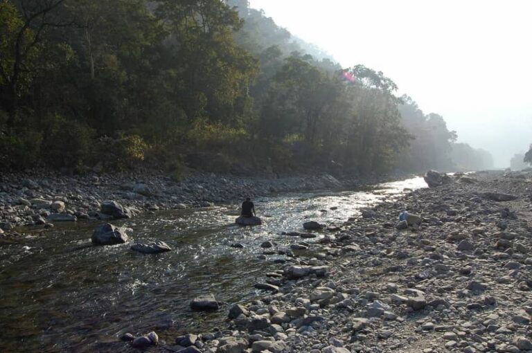 Ratta Pani Rishikesh